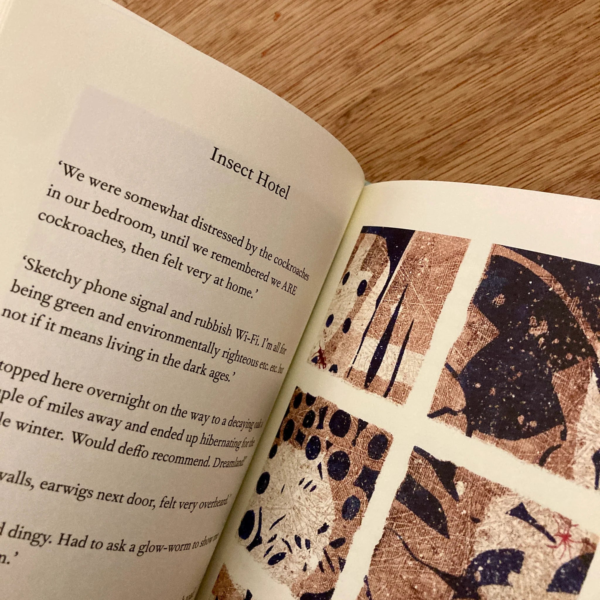 Dwell by Simon Armitage-Books-The Poetry Pharmacy