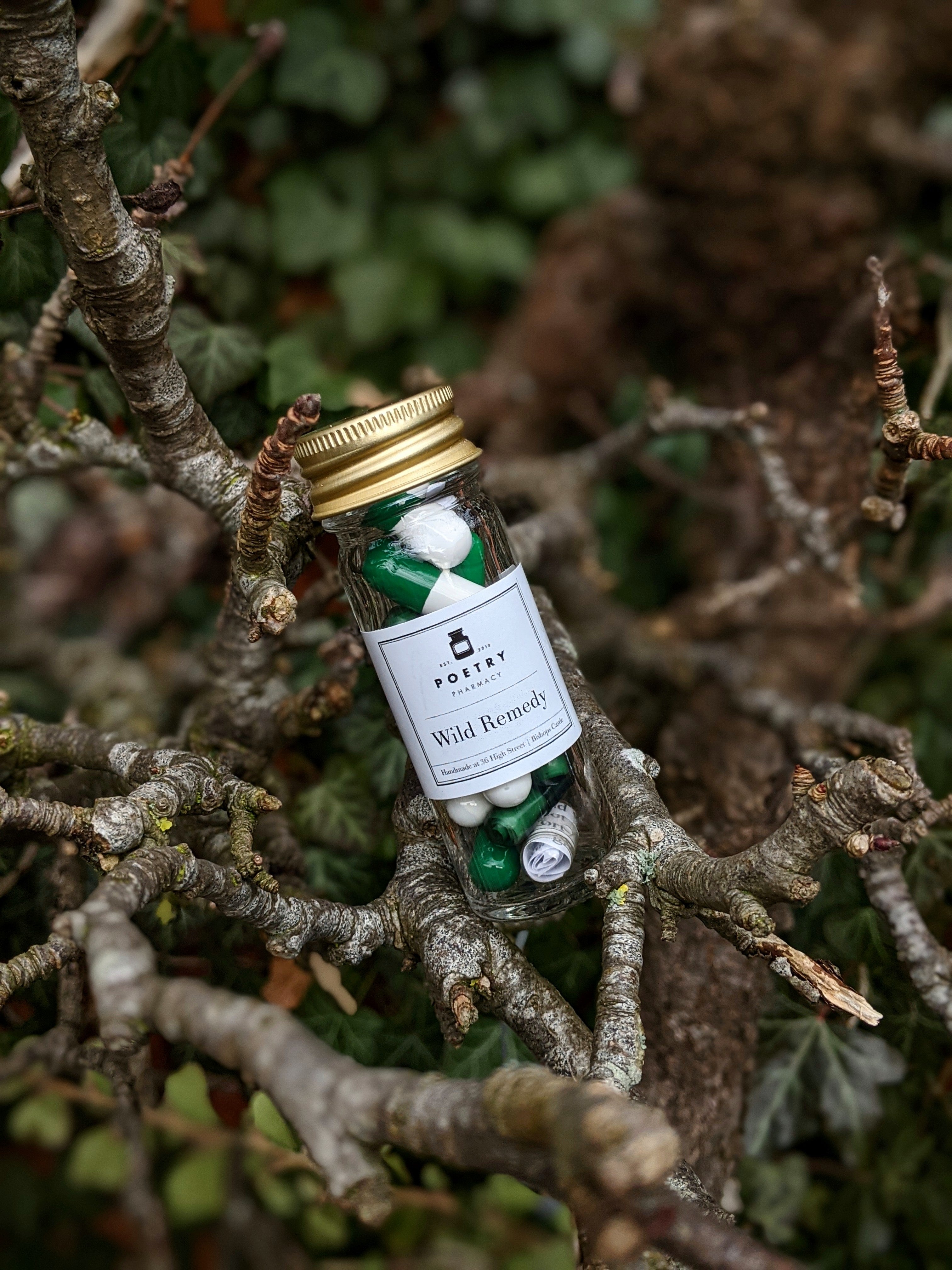 Wild Remedy Pills (small)-The Poetry Pharmacy