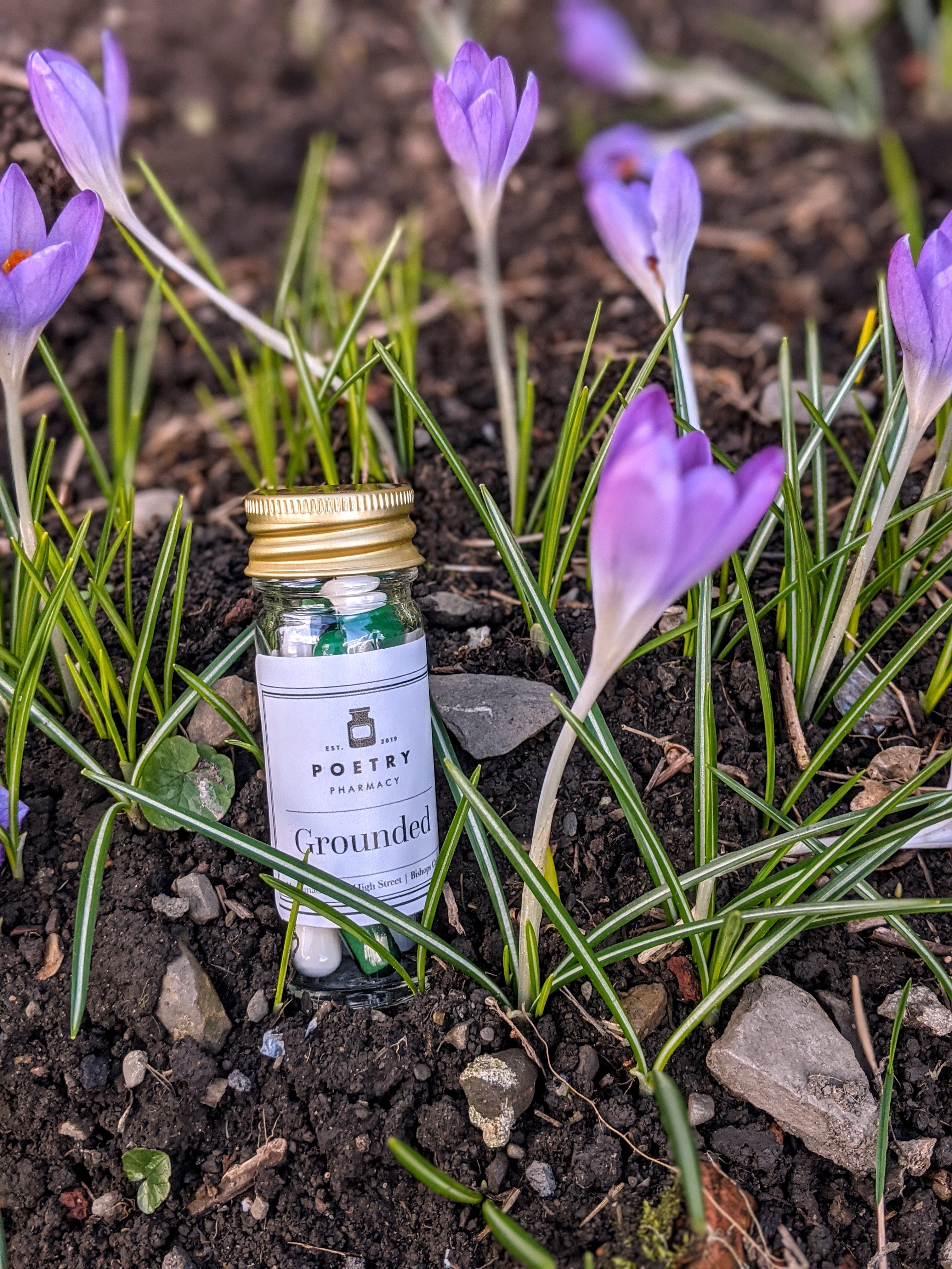 Grounded Pills-The Poetry Pharmacy