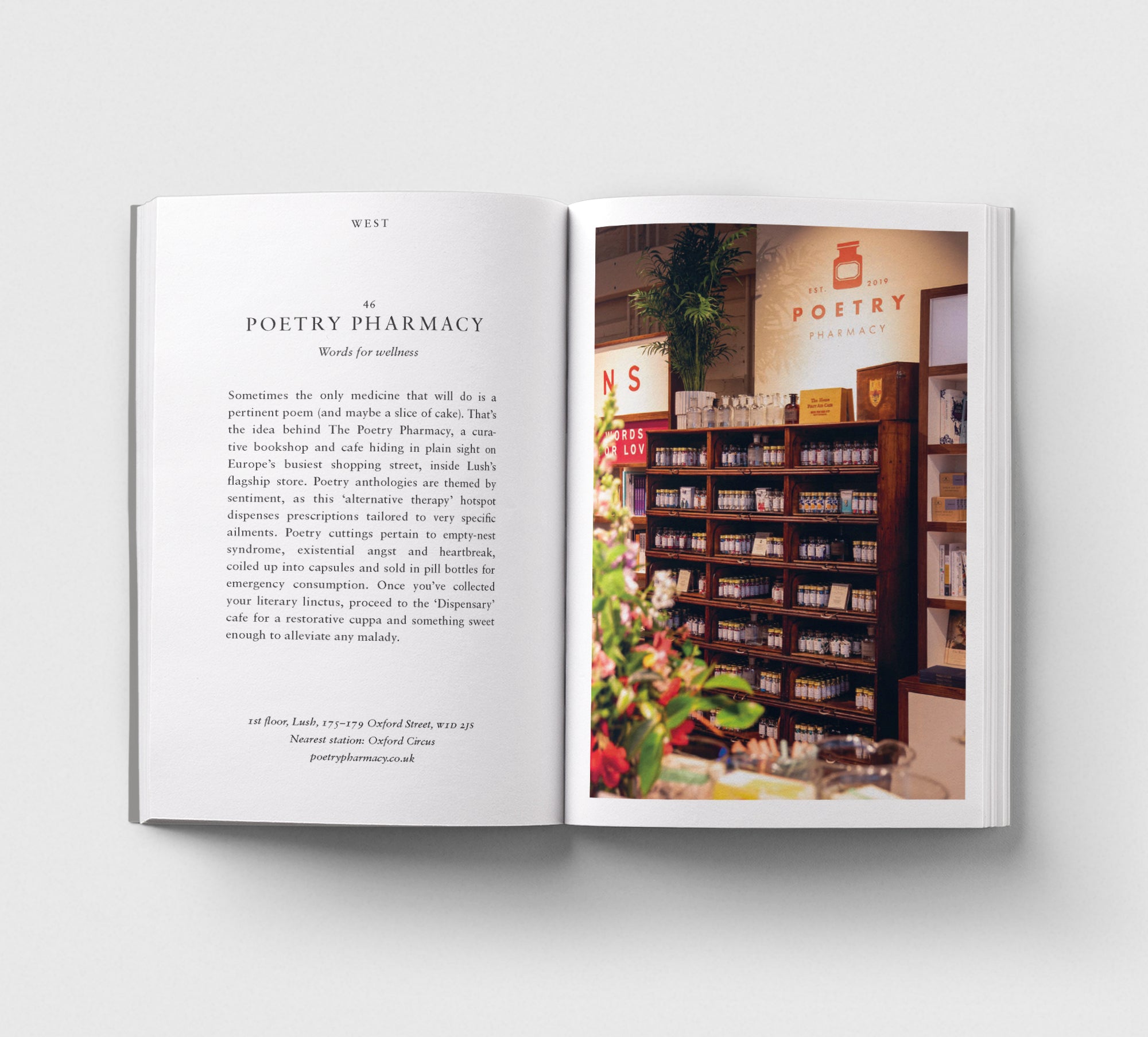 An Opinionated Guide to Literary London-Books-The Poetry Pharmacy
