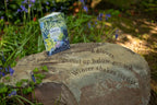 Dwell by Simon Armitage-Books-The Poetry Pharmacy