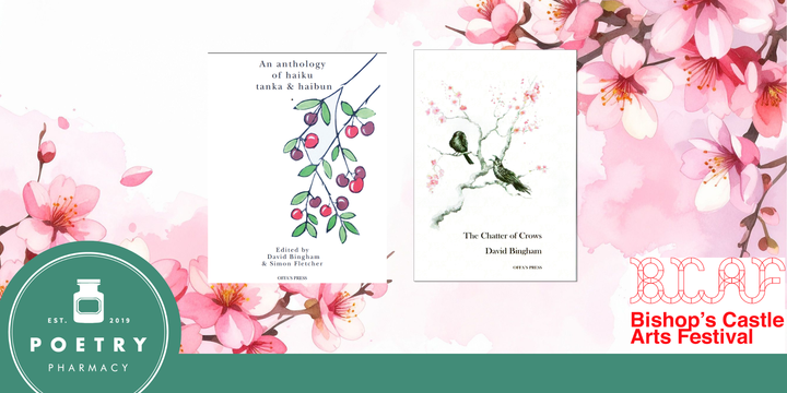 Haiku Moments with David Bingham