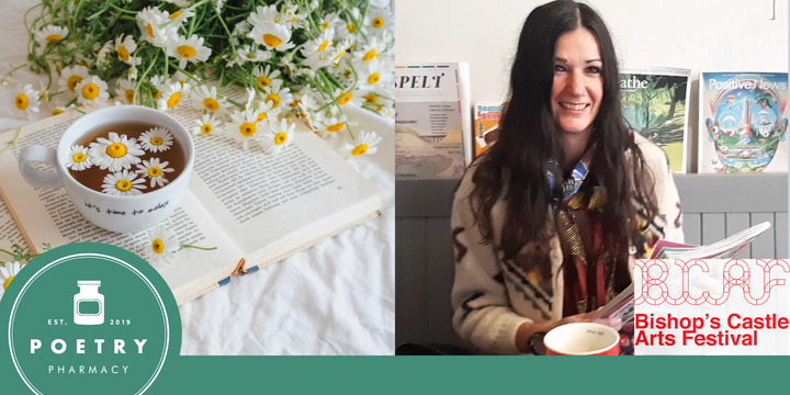 Writing from Stillness with Sarah Holland