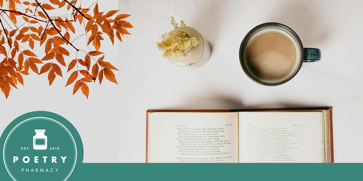 Advice from a Raindrop: Autumn Poetry Breakfast with Anna Dreda