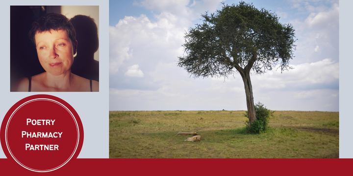 Poems From the Fallow Space - a five-week workshop with one-to-one feedback