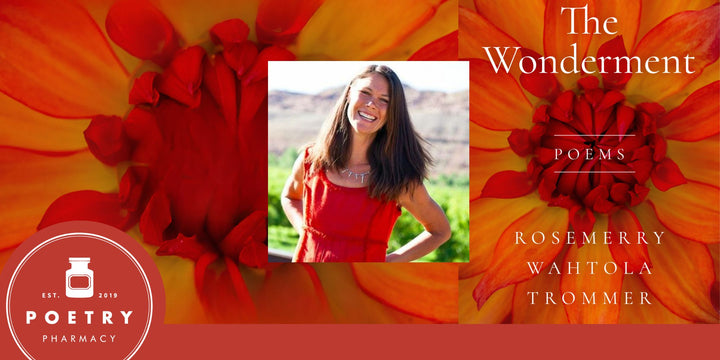 The Wonderment with Rosemerry Wahtola Trommer