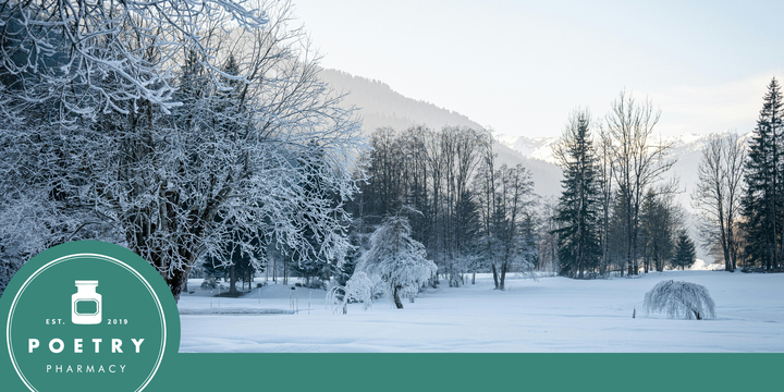 Skeleton Tree: Exploring Winter Poetry with Jan Westwood