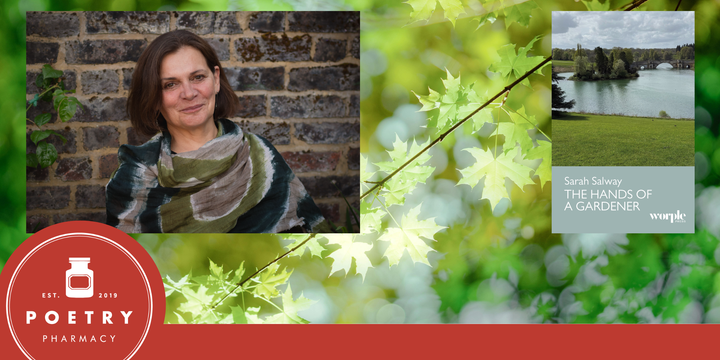 Hands of a Gardener: Book Launch with Sarah Salway