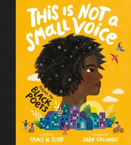 This Is Not A Small Voice: Poems by Black Poets