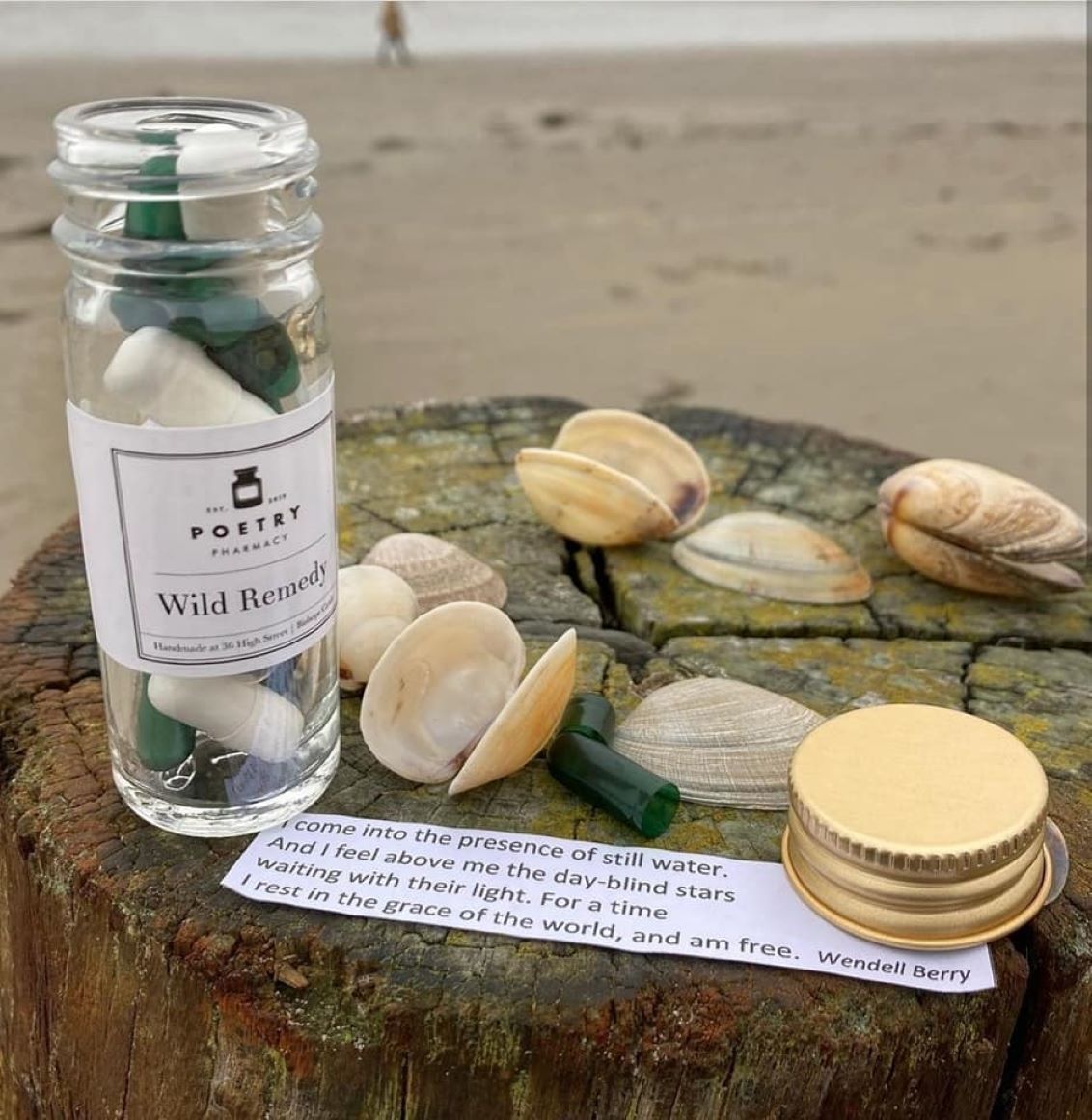 Wild Remedy Pills (small)-The Poetry Pharmacy